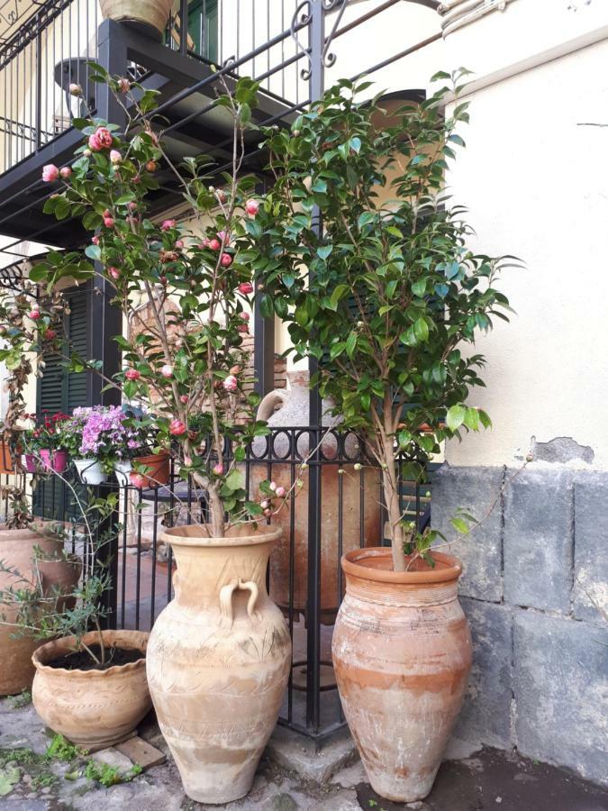 Mamarico' Apartament CTA Exterior photo