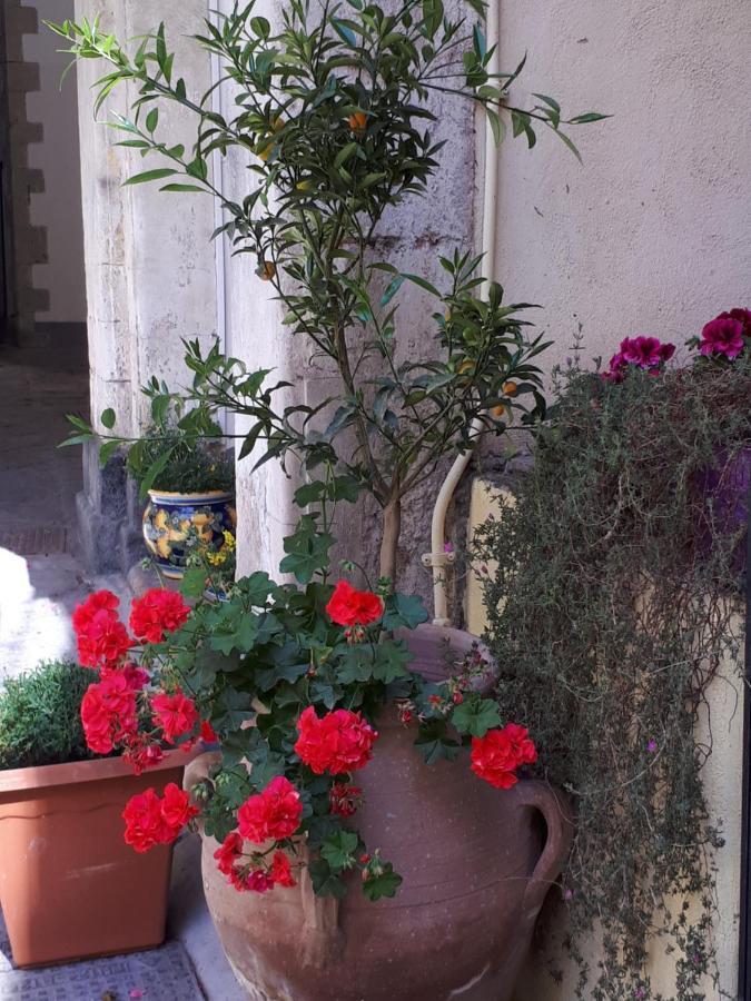 Mamarico' Apartament CTA Exterior photo